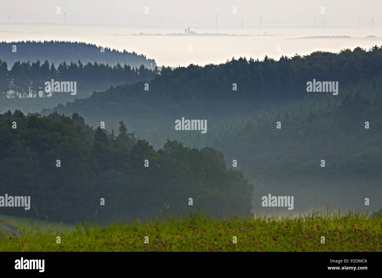Temprano en la mañana cerca Rhaunen, distrito administrativo de Birkenfeld, Región Hunsrueck, Renania-Palatinado, Alemania, Europa Foto de stock