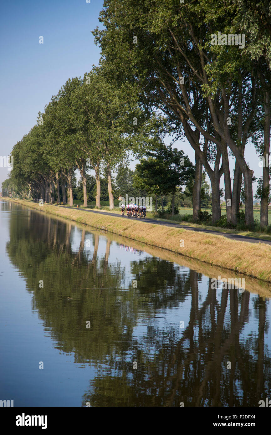 Los ciclistas en bici a lo largo del canal Plassendale - Niuewpoort, cerca de Nieuwpoort, Flandes, la Región de Flandes, Bélgica Foto de stock