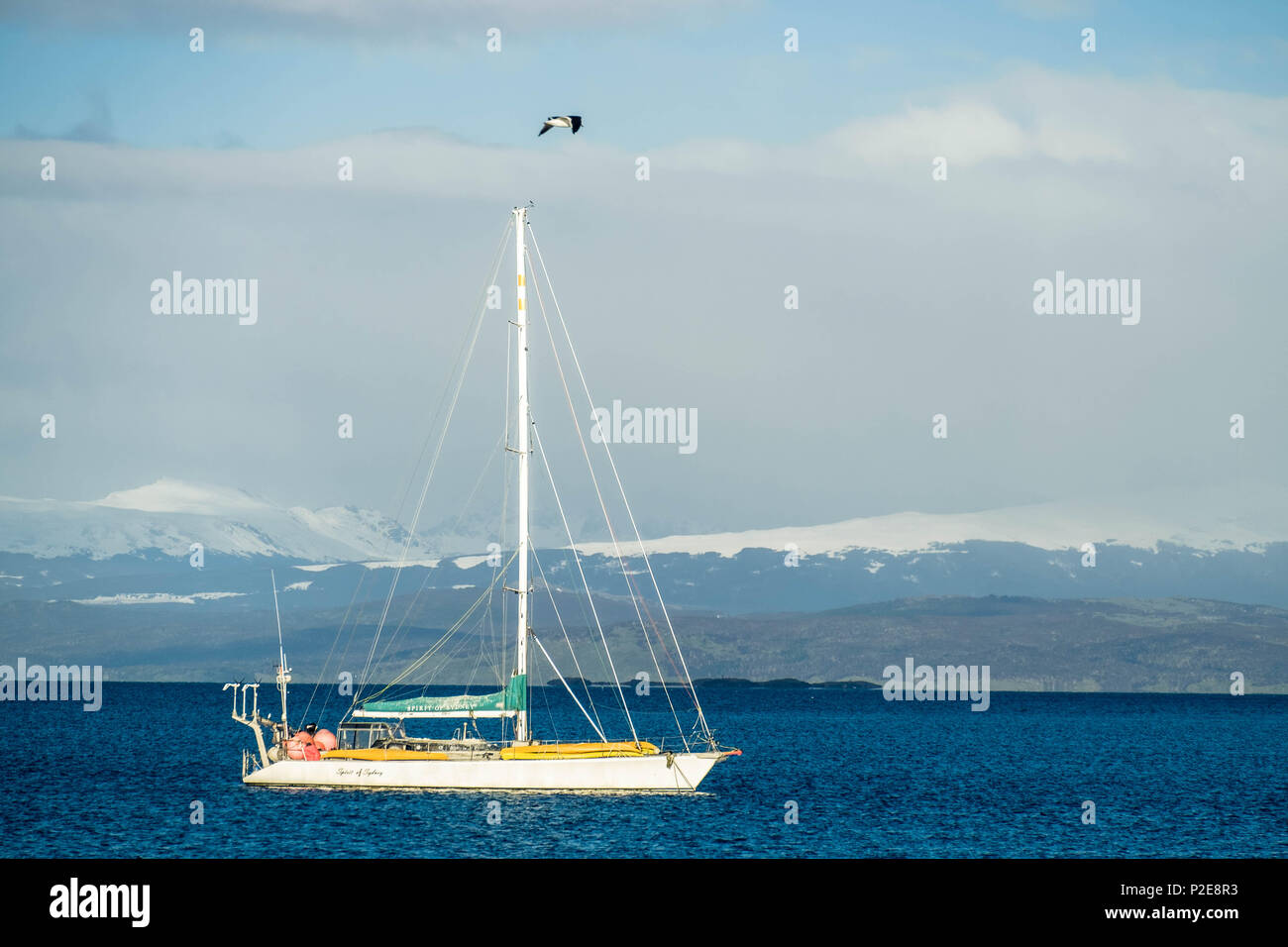 Una vela barco cruza el Canal Beagle cerca de Ushuaia. La vela es popular en esta parte del mundo donde las islas ofrecen espectaculares paisajes. Foto de stock