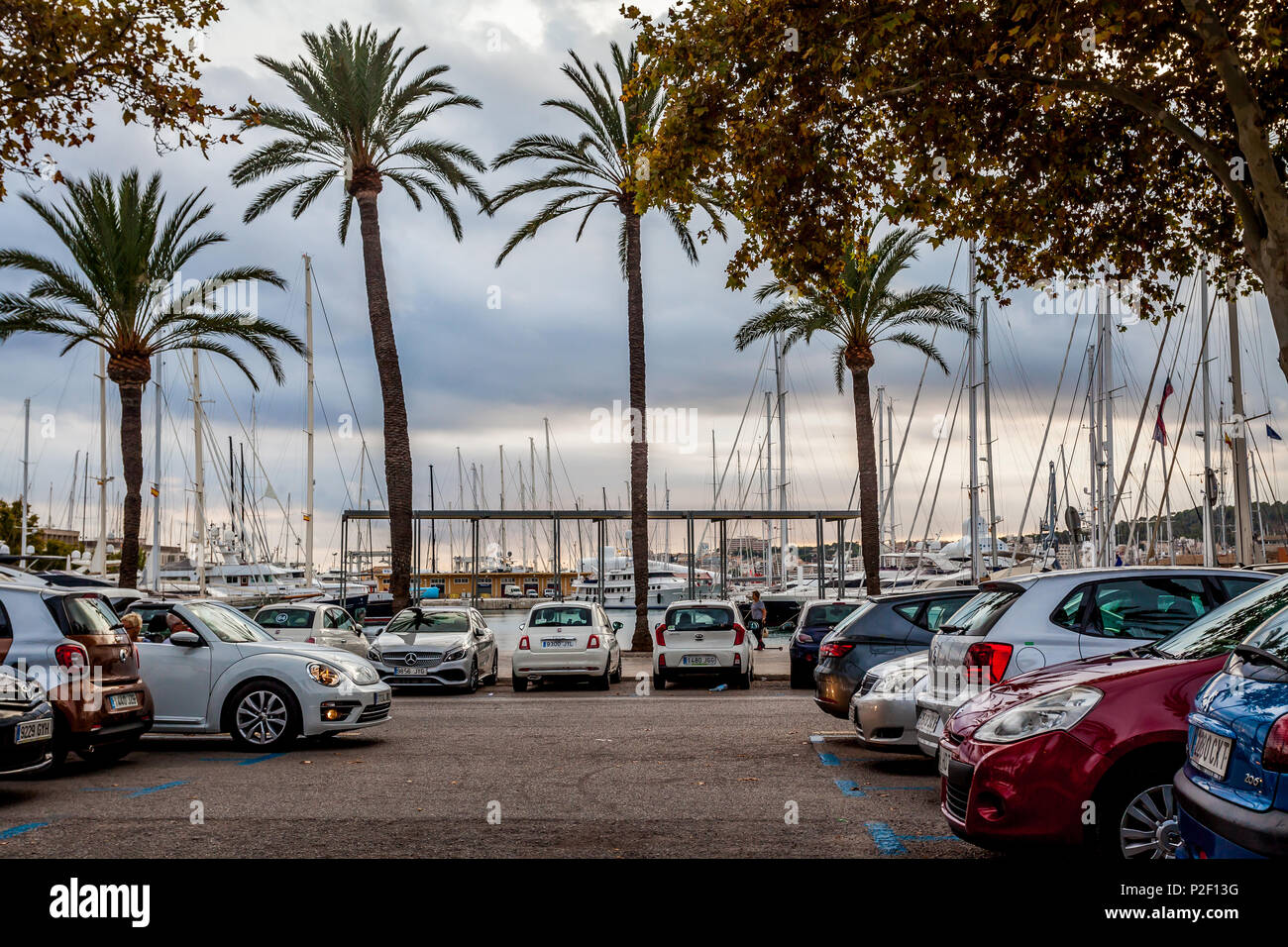 Yates de lujo y aparcamiento en el puerto de Mallorca. Puerto de Palma, el  puerto de Palma, Palma de Mallorca, España, Europa Fotografía de stock -  Alamy