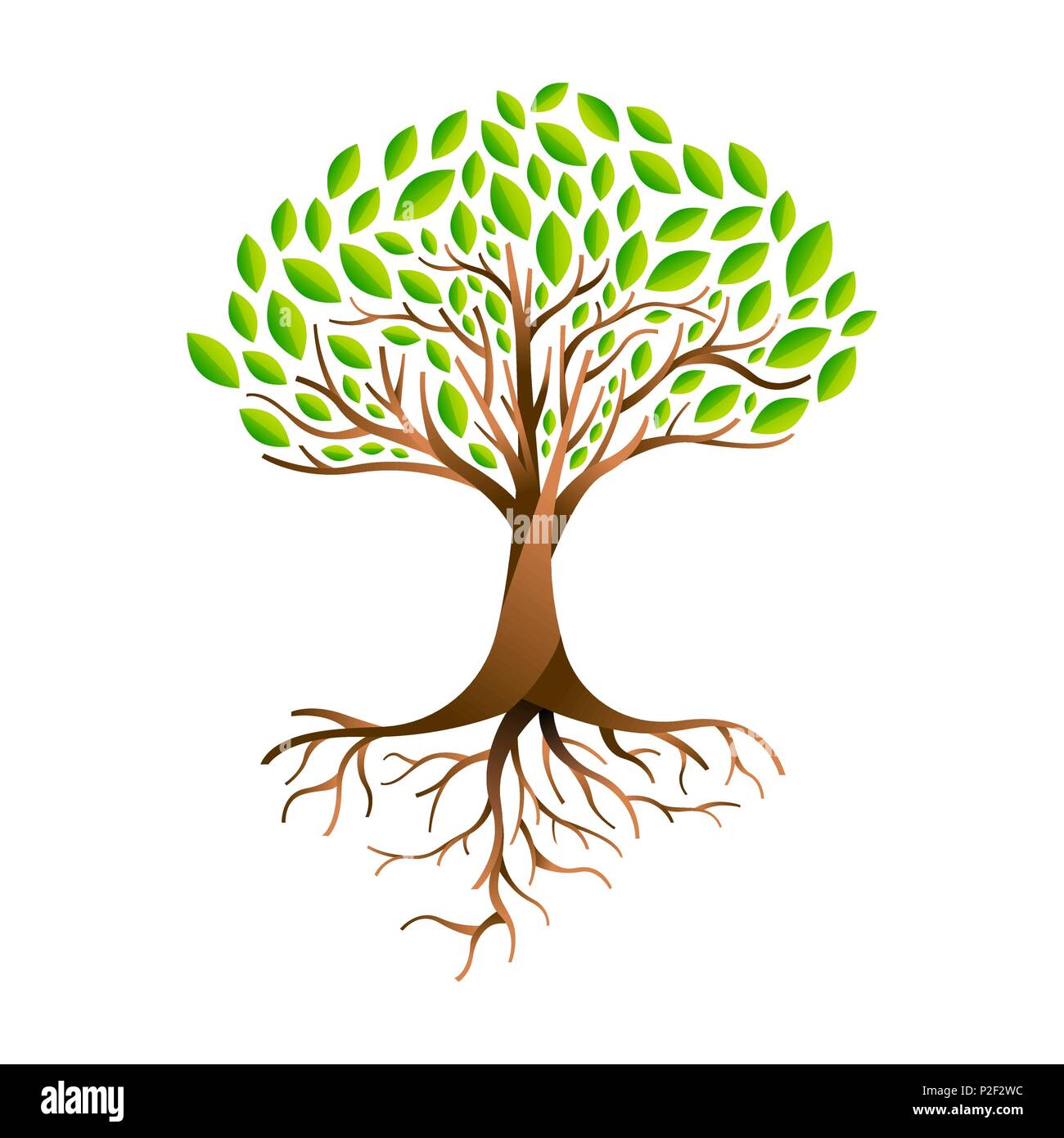 Árbol de hojas verdes con ramas y raíces. Concepto de naturaleza, Medio  Ambiente ayuda o cuidado de la tierra. Vector EPS10 Imagen Vector de stock  - Alamy
