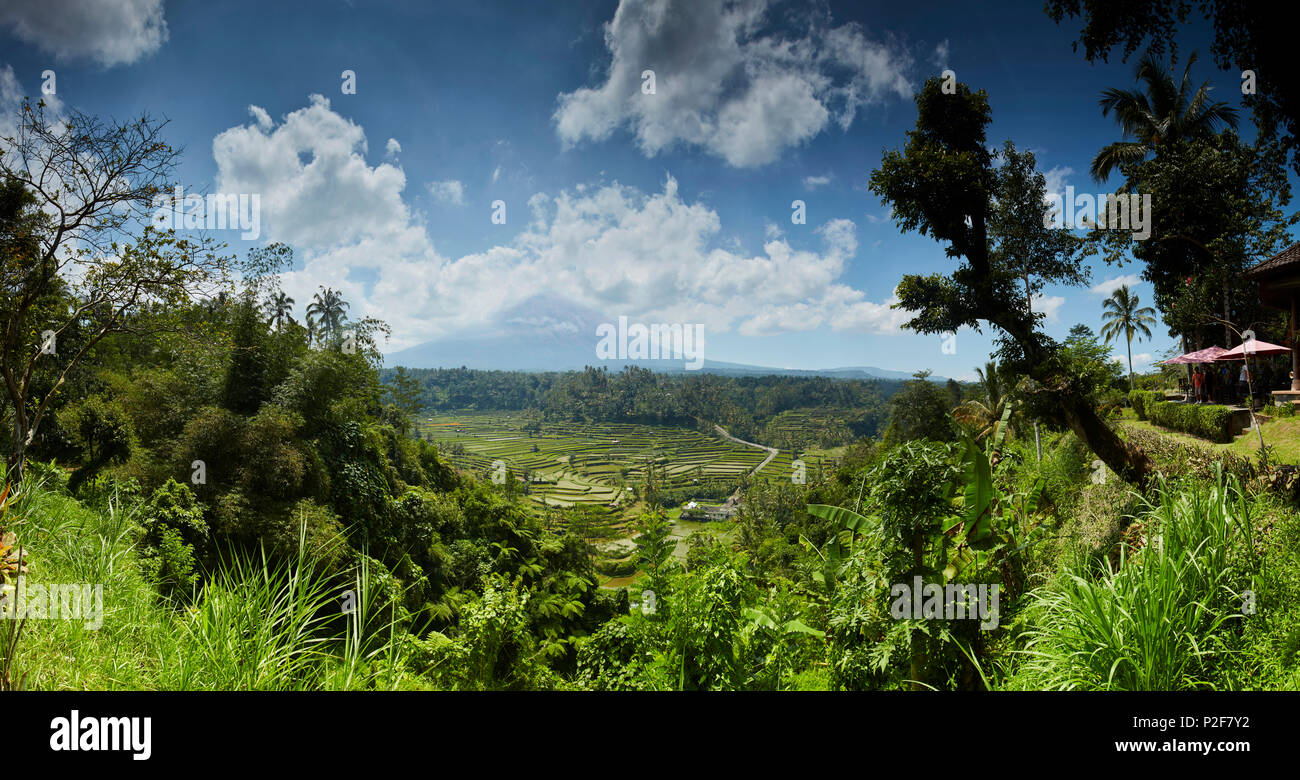 Terrazas de arroz y volcán Agung, Bali, Indonesia Foto de stock