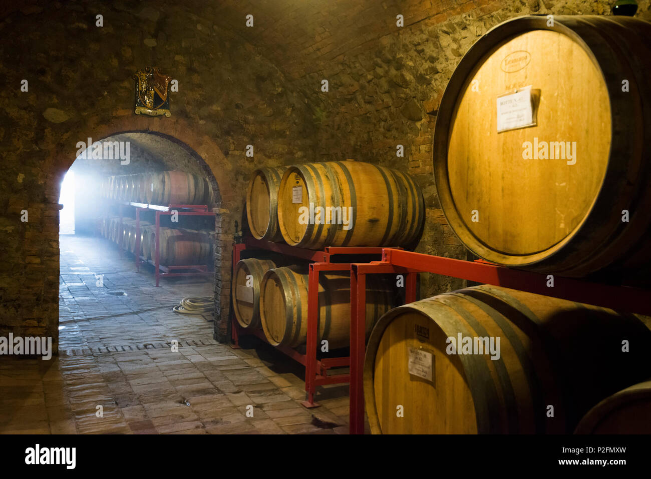 Argiano vinery, cerca de Montalcino, provincia de Siena, Toscana, Italia Foto de stock