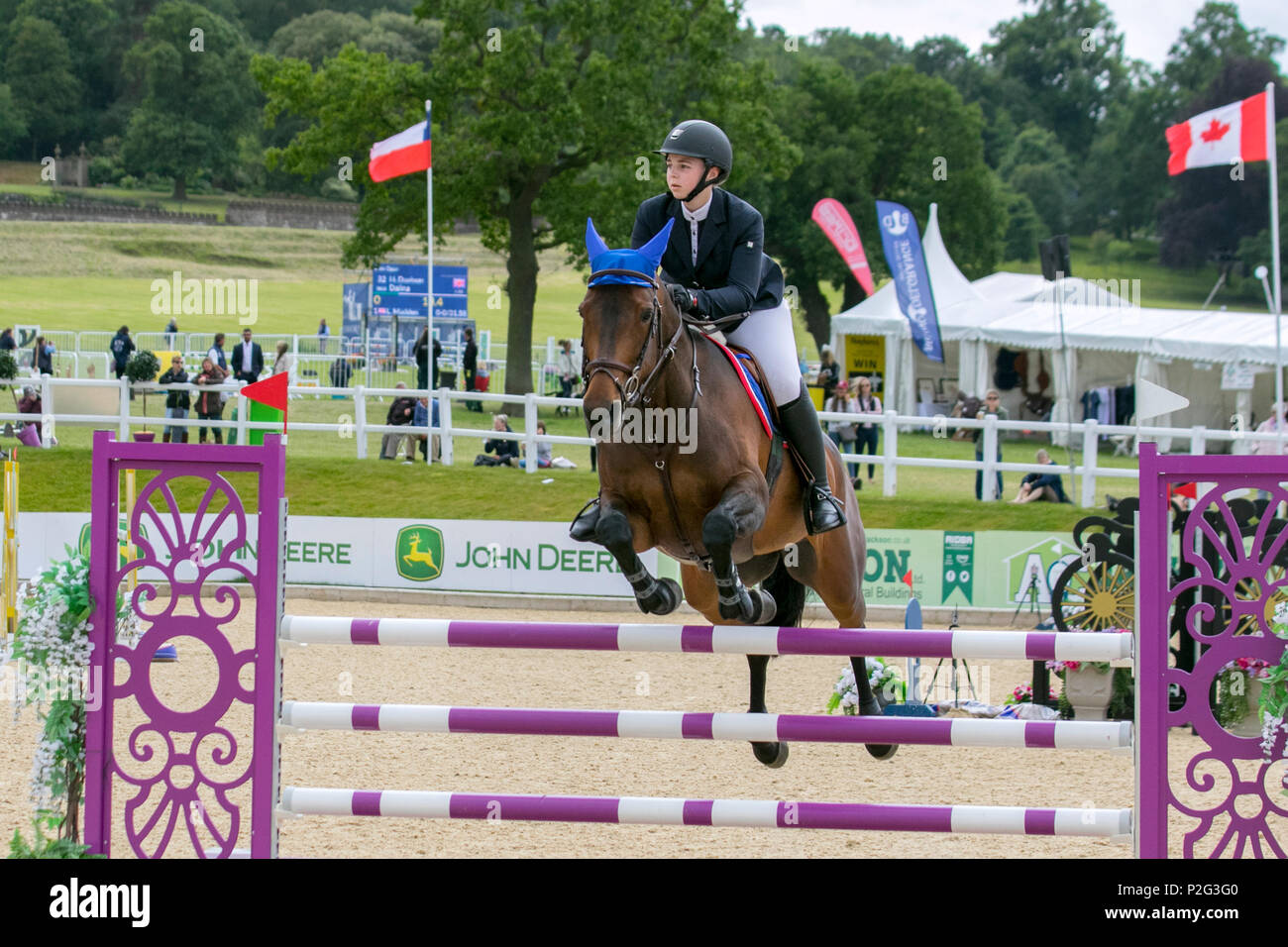 Jockey Com Seu Cavalo Pulando Sobre Um Obstáculo Pulando Sobre O Obstáculo  Na Competição Foto de Stock - Imagem de movimento, equestre: 194863184