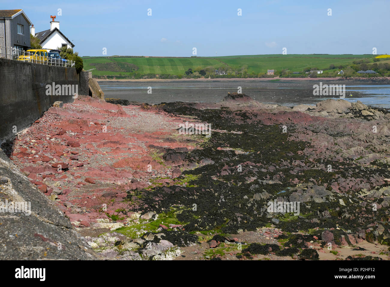 Orilla rocosa y vistas a la bahía con marea baja en la costa de Gales a Dale en Pembrokeshire West Wales UK KATHY DEWITT Foto de stock