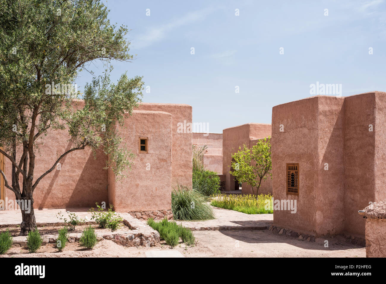 Fachada exterior de adobe de estilo bereber lodges con patio de limoneros, bambú y plantas silvestres marroquí Foto de stock