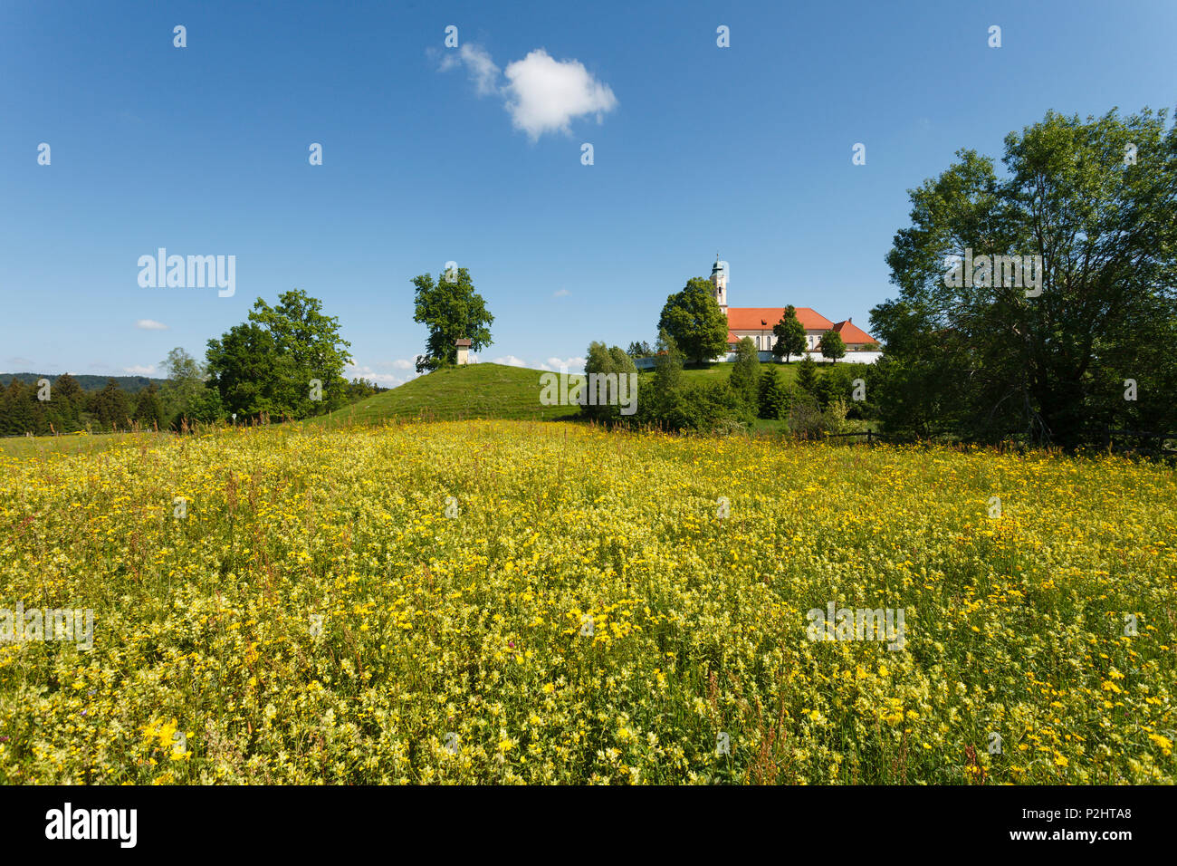 Abadìa cerca Sachsenkamm Reutberg en primavera, el monasterio de los Capuchinos, 17. Jhd., floración, pradera, Landkreis Bad Toelz- Wolfratshausen, Foto de stock