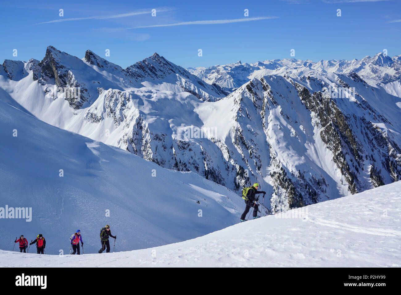 Varias personas back-esquí ascendiendo hacia Frauenwand, Zillertal Alpes Alpes Stubai y en segundo plano, Frauenwand, Vall Foto de stock