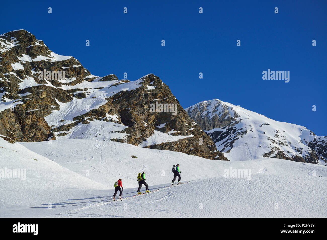 Tres personas volver de esquí ascendiendo hacia Schneespitze, Pflersch Schneespitze, valle de Stubai, Alpes, Tirol del Sur, Foto de stock