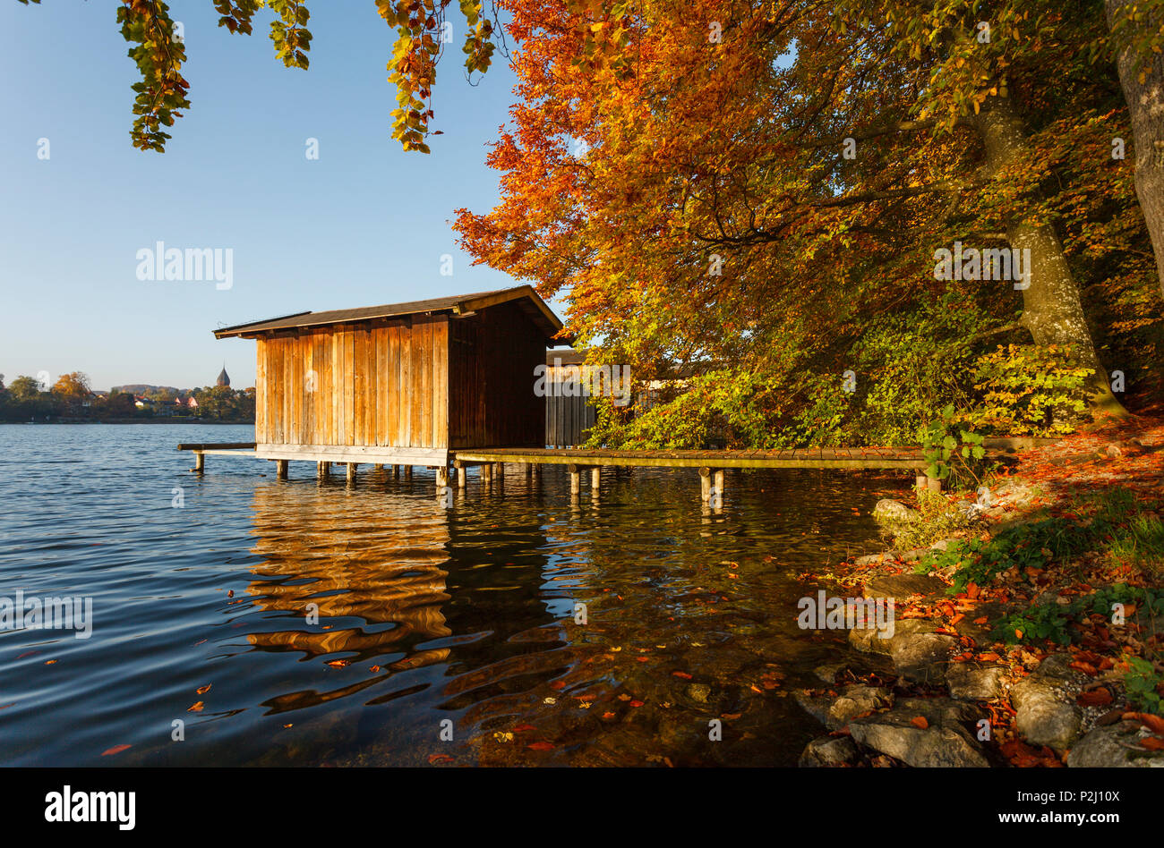 Casas barco en el lago Wesslinger Ver en otoño, verano indio, Starnberg cinco lagos, distrito de Starnberg, Alpes Bávaros fo Foto de stock