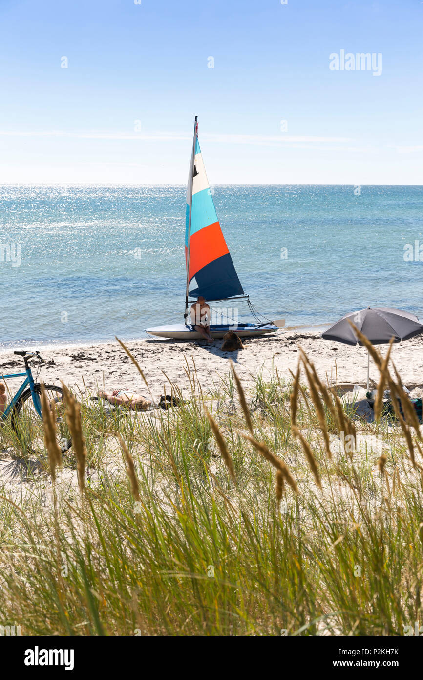 Windsurf, surf, playa de ensueño entre Strandmarken und Dueodde, playa de arena, el verano, el mar Báltico, Bornholm, Strandmarken, D Foto de stock