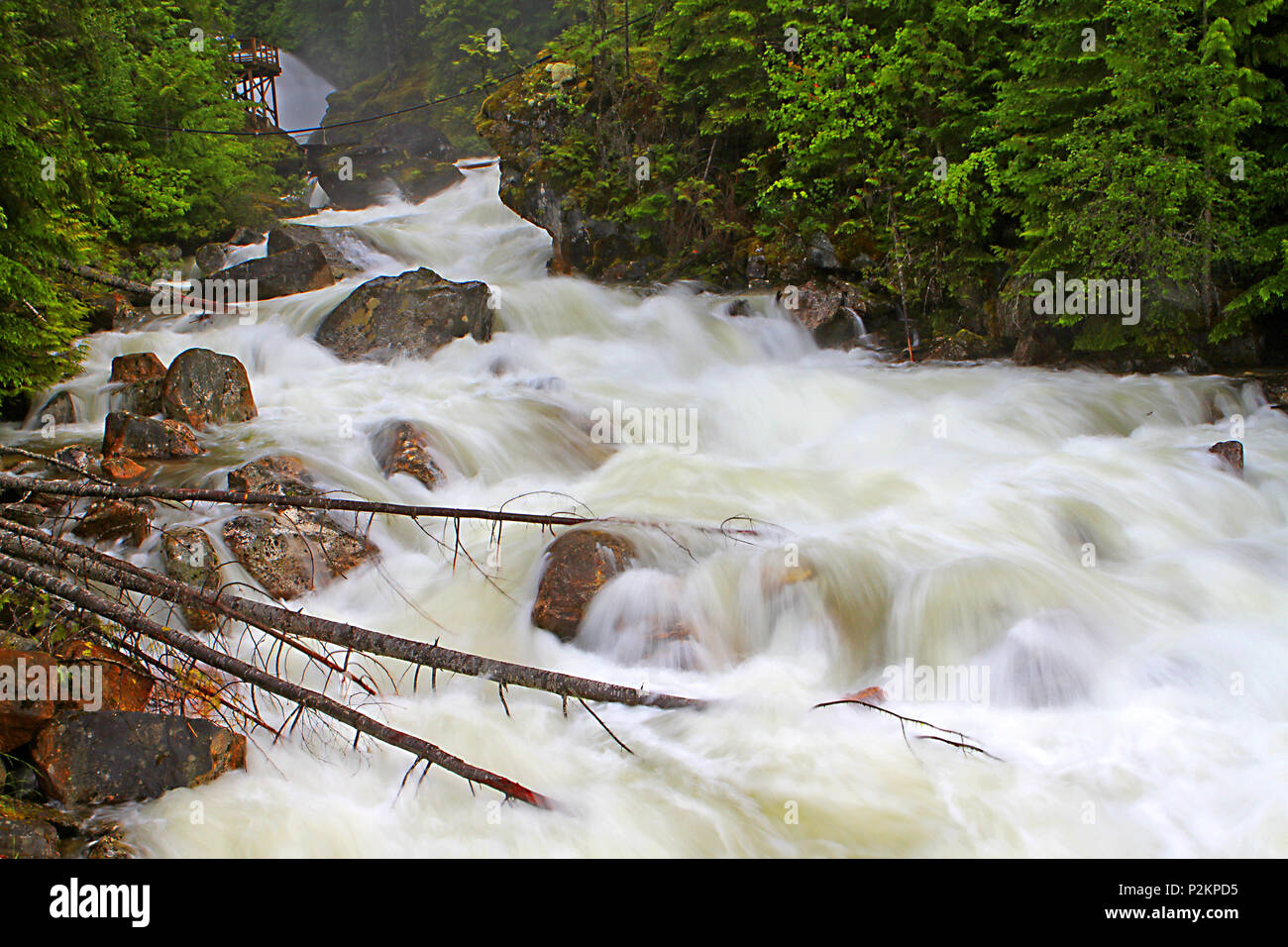 Crazy Creek, Columbia Británica, las Montañas Rocosas Canadienses Foto de stock