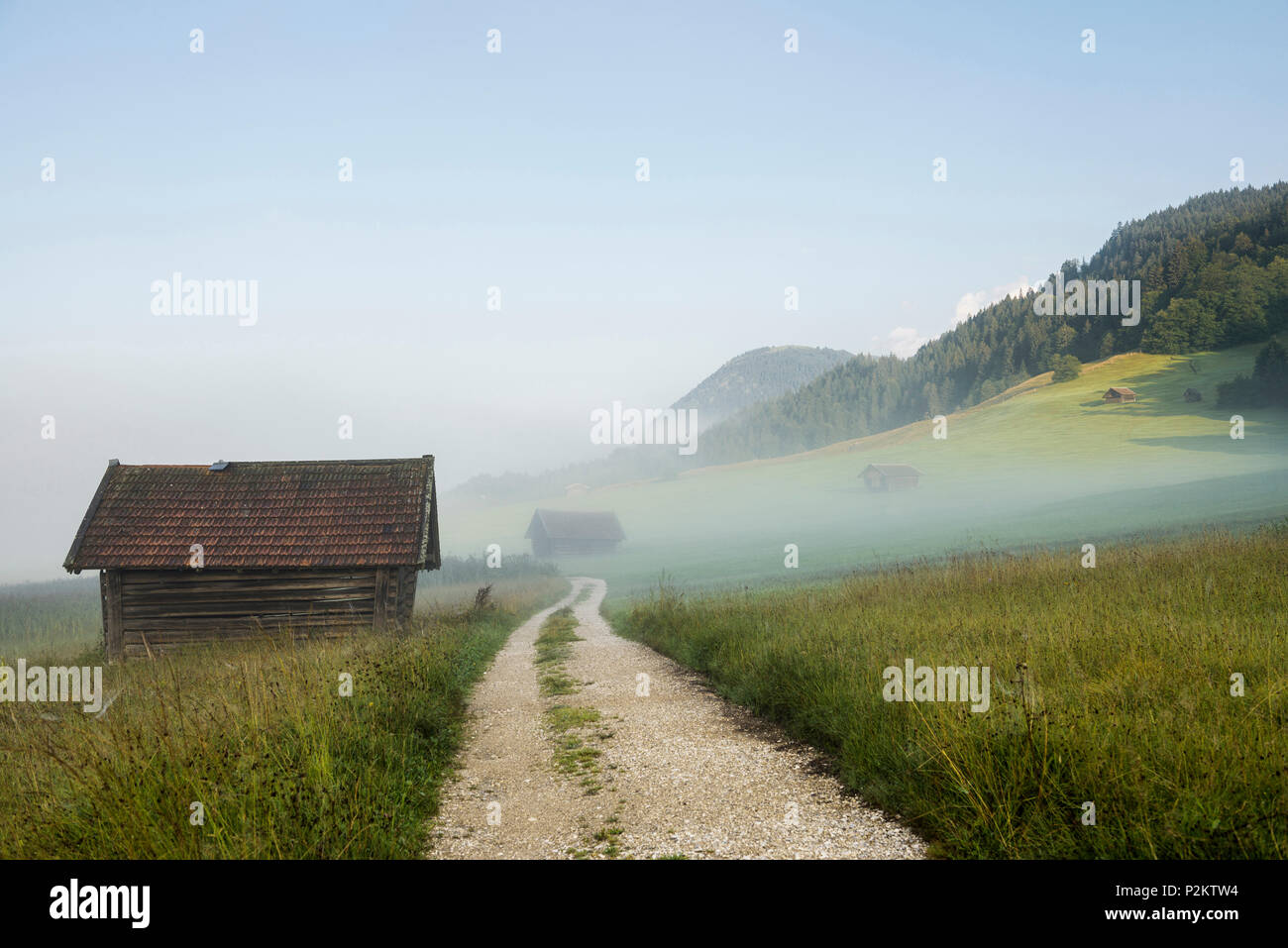 Amanecer cerca del lago Geroldsee, Wagenbruechsee, Kruen, cerca de Garmisch-Partenkirchen, Alta Baviera, Baviera, Alemania Foto de stock
