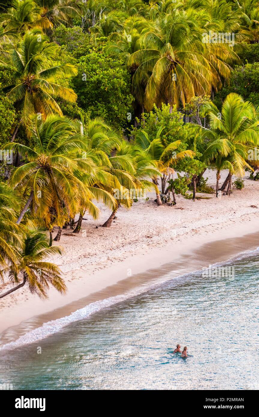 Caribe, Antillas Menores, San Vicente y las Granadinas, Isla Mayreau, Salt Whistle Bay beach y Coconut Grove Foto de stock