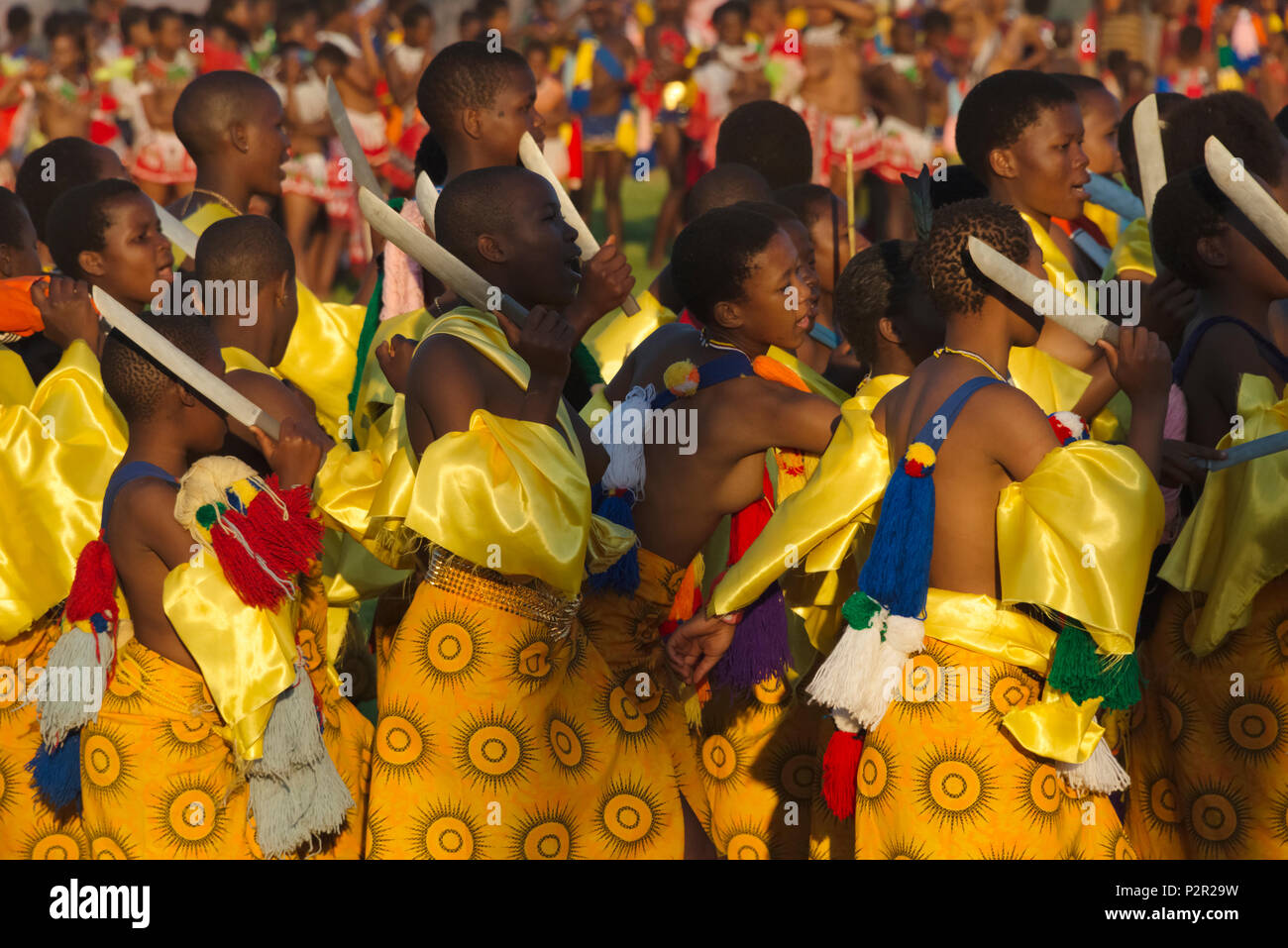 Las Niñas Swazi Llevar Espada Desfile En Umhlanga Reed Dance Festival