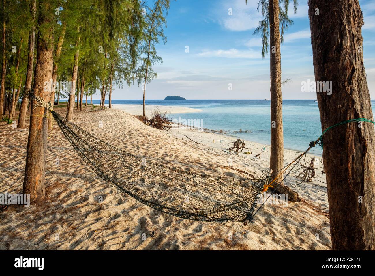 Tailandia, la provincia de Satun, Parque Nacional Marino Tarutao, Ko Adang isla, playa de Laem hijo forrado con casuarinas Foto de stock
