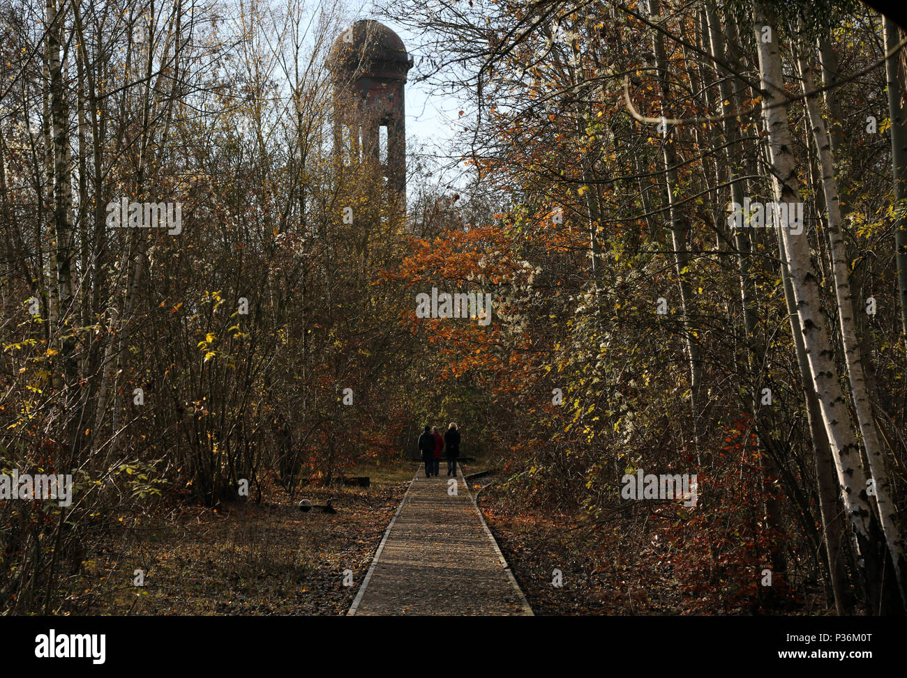 Berlín, Alemania, la gente tome un paseo en el parque de naturaleza Suedgelaende Foto de stock