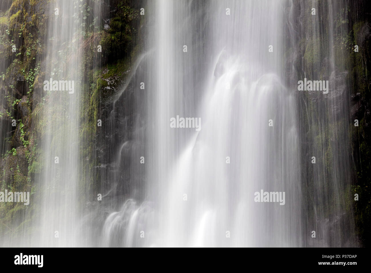 O02536-00...Oregon - Detalle de Falls Creek Falls en el Bosque Nacional de Umpqua. Foto de stock