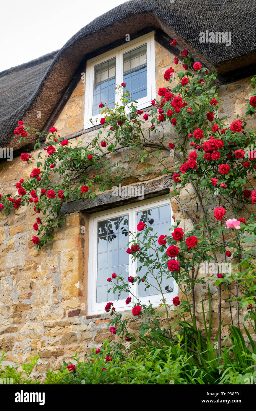 https://c8.alamy.com/compes/p38f01/casita-con-techo-de-paja-y-rojo-rosas-trepadoras-en-ebrington-chipping-campden-gloucestershire-inglaterra-p38f01.jpg