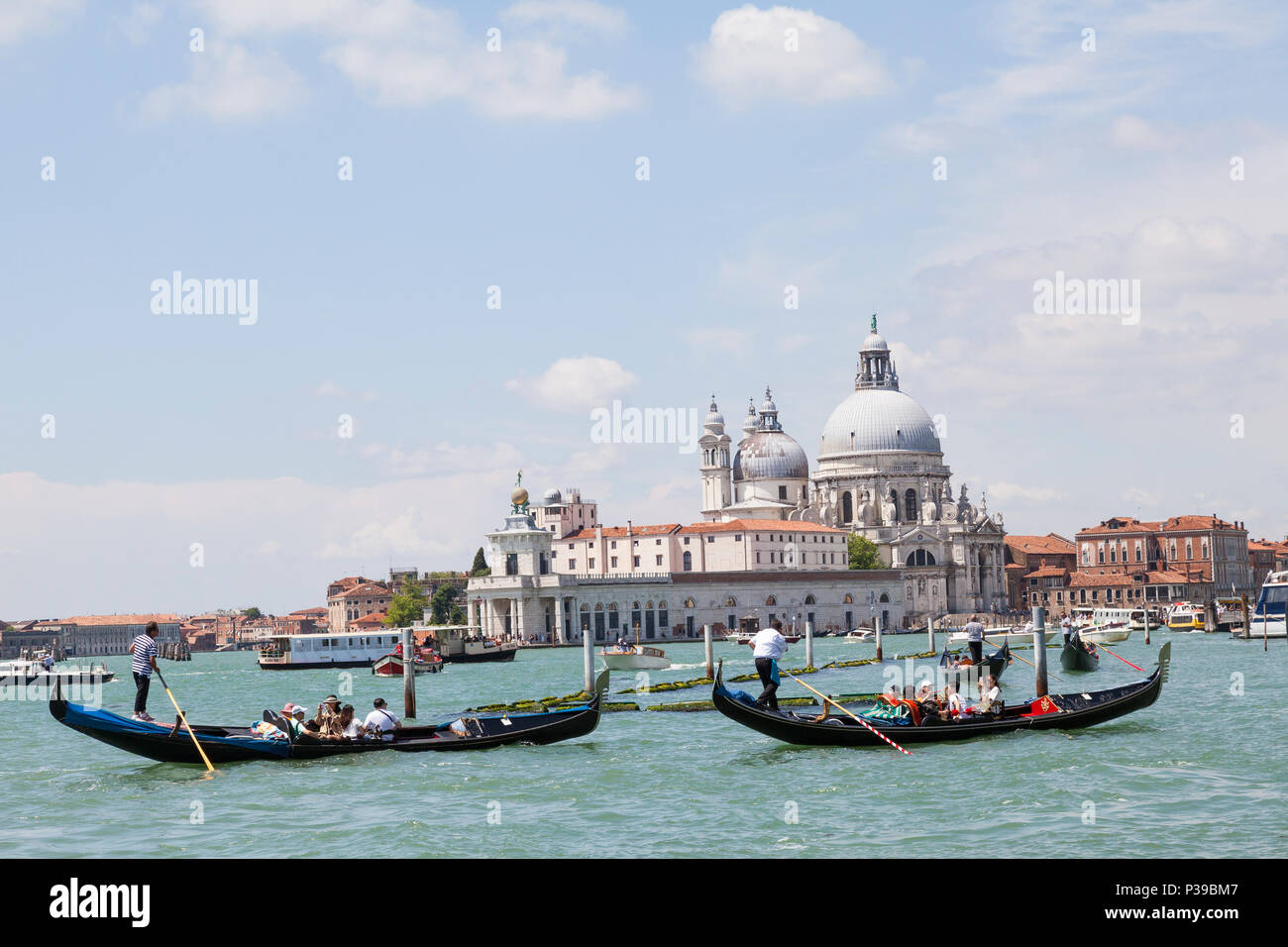 Las góndolas con turistas asiáticos en frente de Punta della Dogana y la Basílica di Santa Maria della Salute, el Gran Canal de Venecia, Véneto, Italia. Ocupado biat Foto de stock