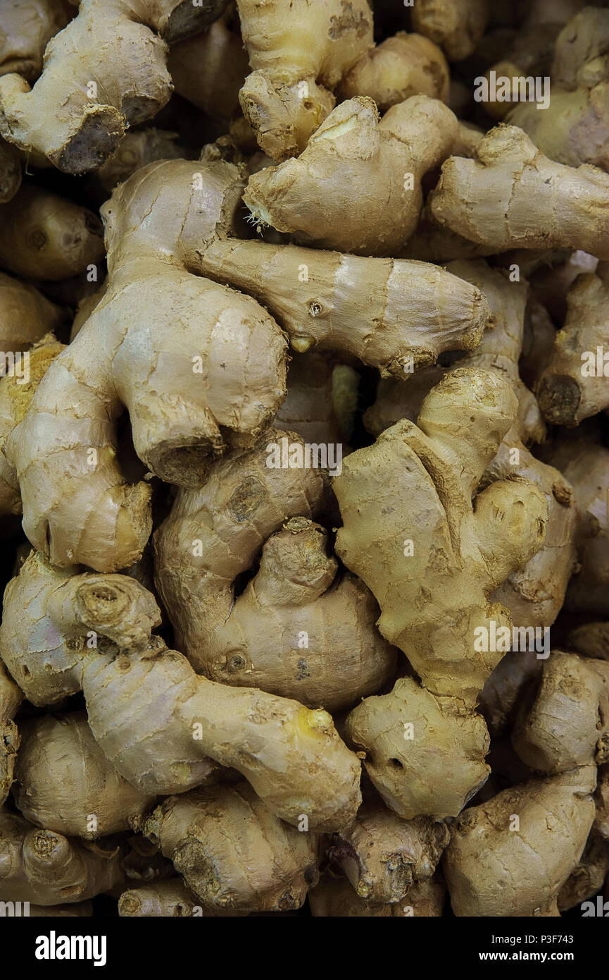 Jengibre rizoma versátil usada como especia, medicina, dulces y cosméticos  Fotografía de stock - Alamy