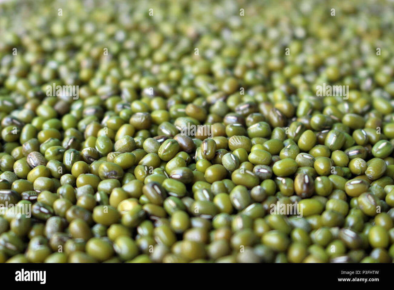 Fondo de semillas de poroto verde Foto de stock