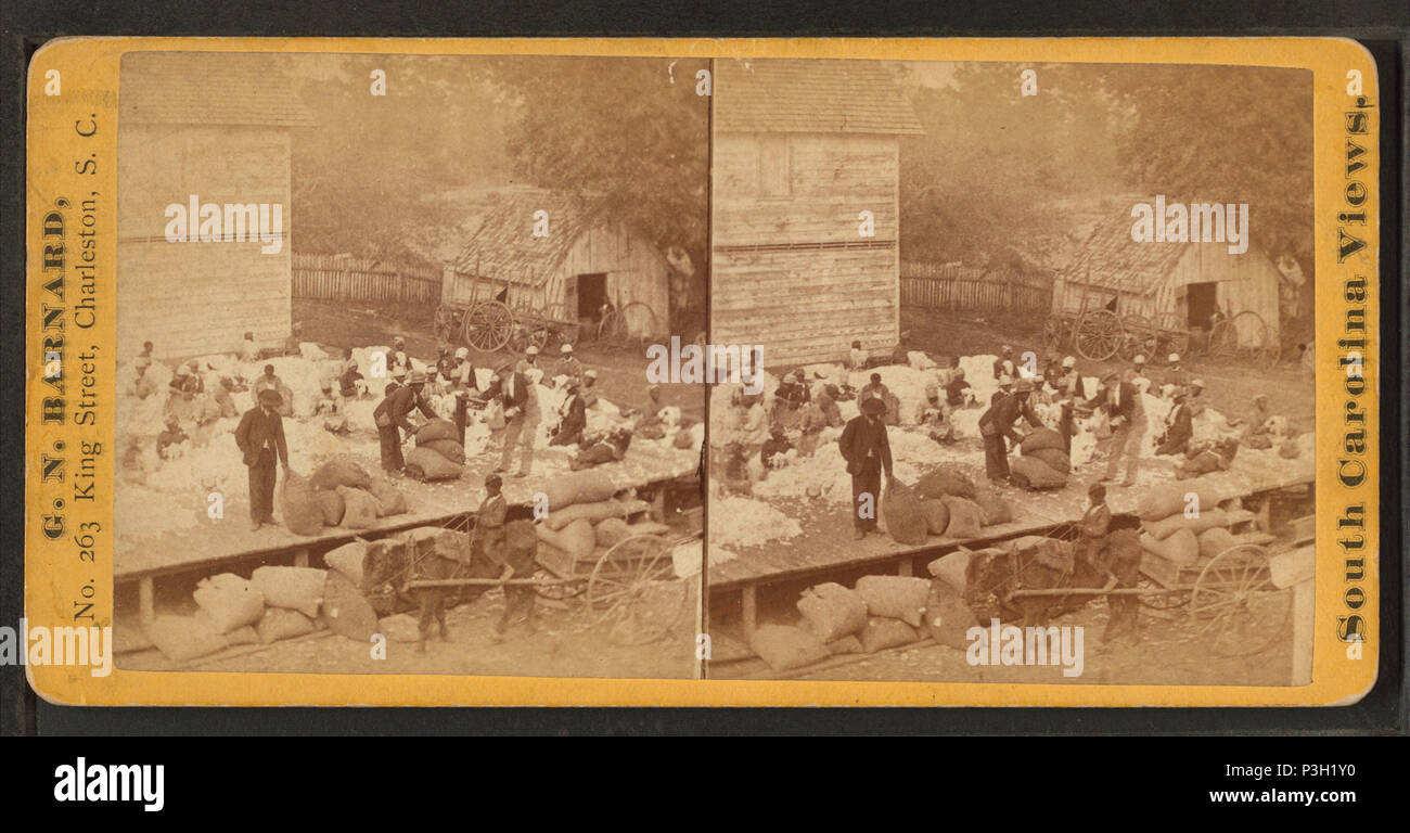 361 Vista de obreros preparando los despepitadores de algodón - sobre Alex. Knox's Plantation, Mount Pleasant, cerca de Charleston, S.C, por Barnard, George N., 1819-1902 Foto de stock