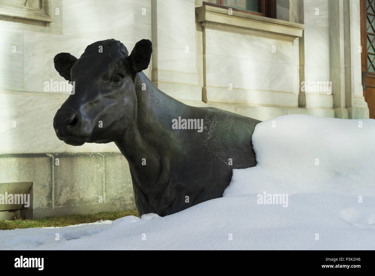 Claudia, una escultura de bronce por el artista canadiense Joe Fafard, parcialmente cubierto por la nieve en el Museo de Bellas Artes de Montreal Sculpture Garden, Canadá. Foto de stock