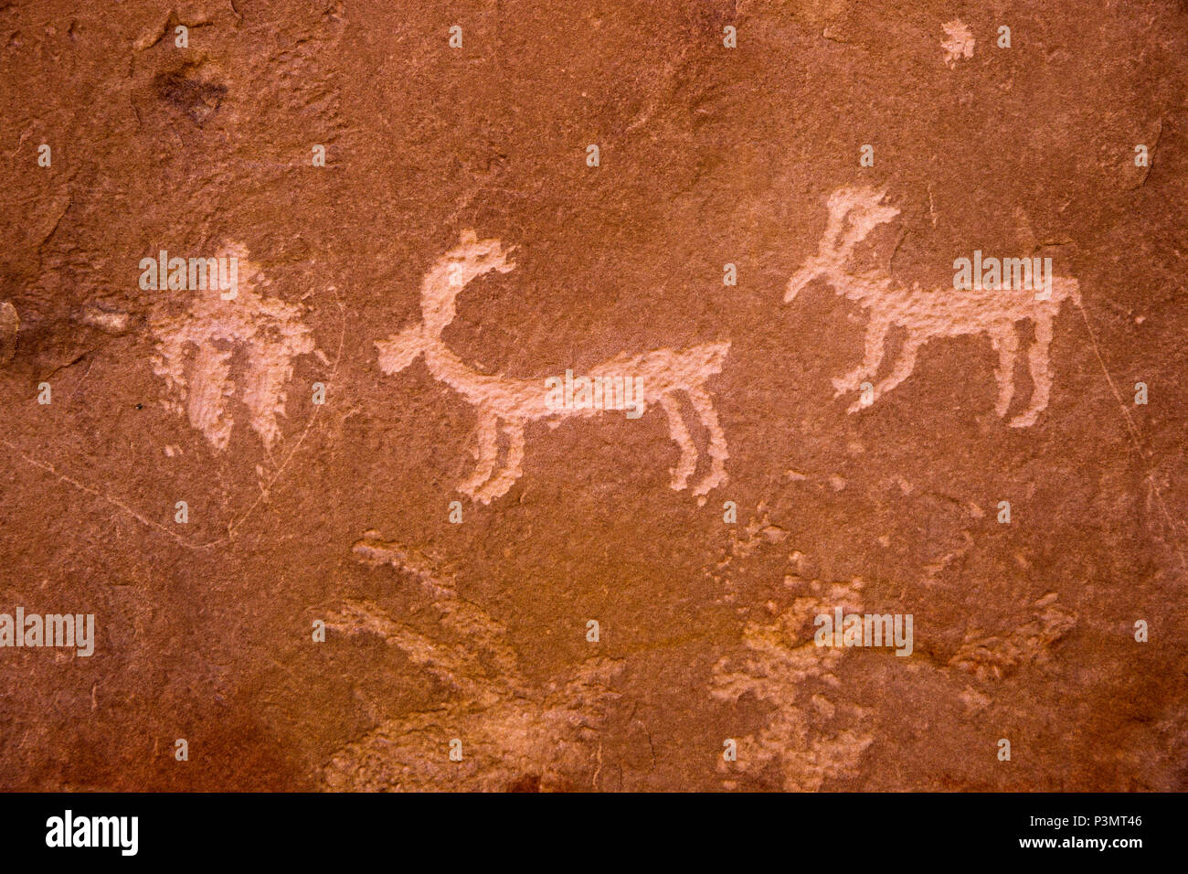 Prehistóricos petroglifos Puebloan ancestrales en el condado de San Juan en el sureste de Utah, Estados Unidos Foto de stock