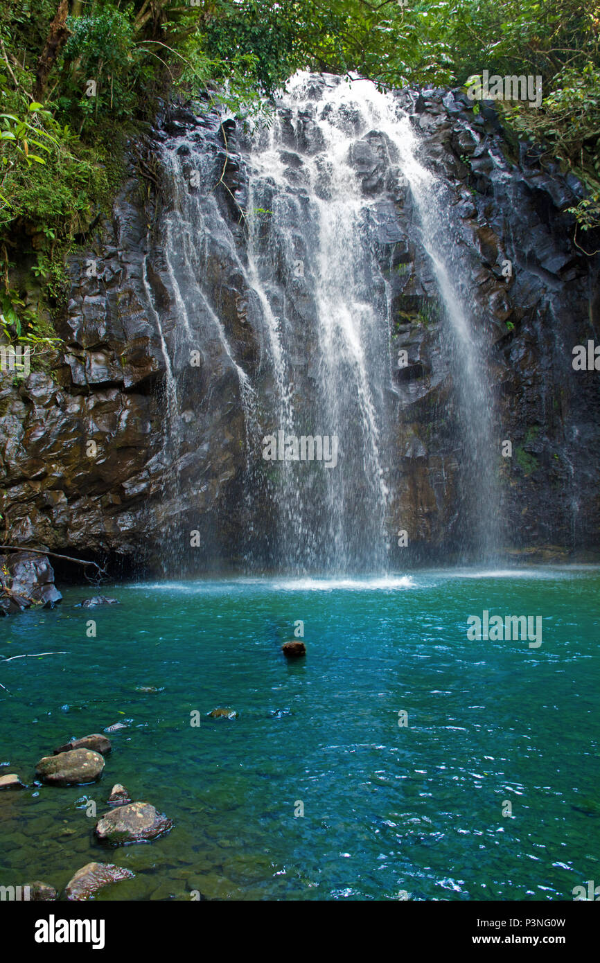 Hermosa cascada cascada sobre roca en agua color aqua profundo rodeado por la selva densa Foto de stock