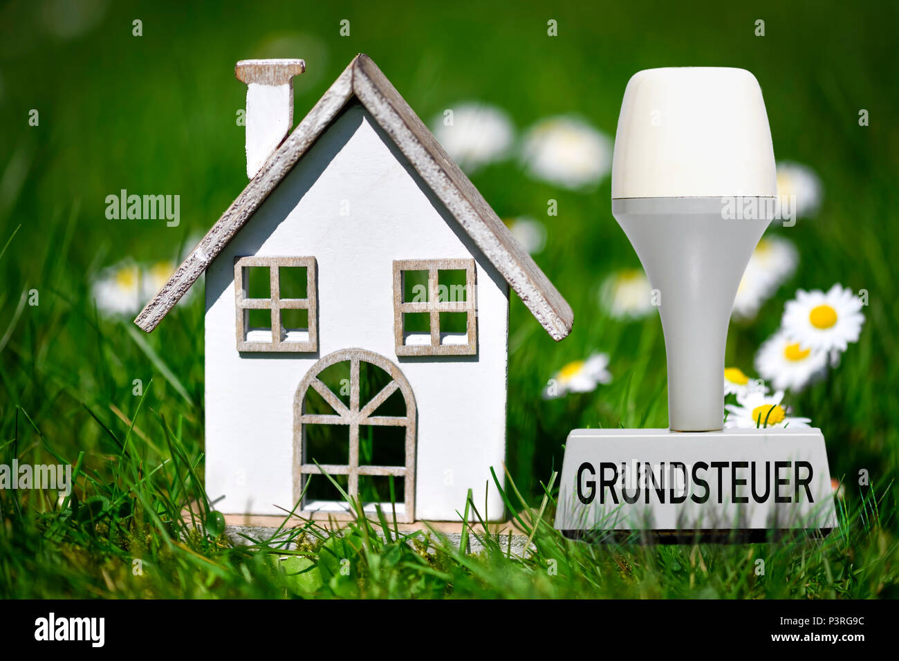 Casa en miniatura en el verde de los impuestos sobre la tierra y el sello con la inscripción Miniaturhaus im Grünen und mit Stempel Aufschrift Grundsteuer Foto de stock