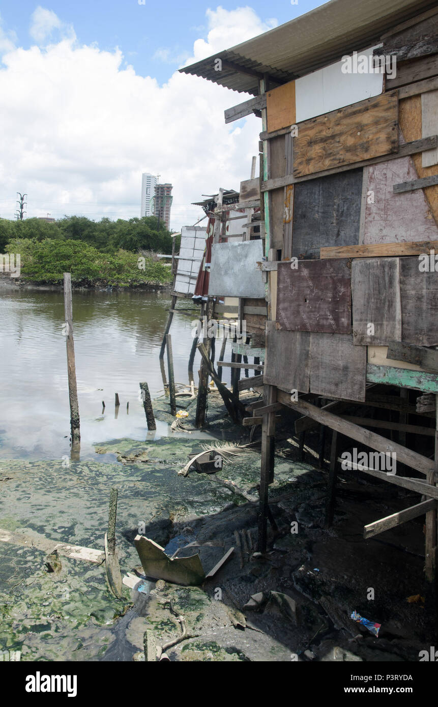RECIFE, PE - 10.10.2015: PALAFITAS EM COMUNIDADE CARENTE - Palafitas na favela do el coque, como margens do Río Capibaribe. (Foto: Diego Herculano / Fotoarena) Foto de stock