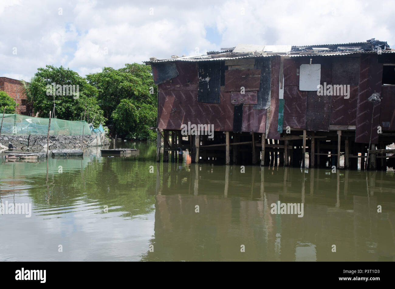 RECIFE, PE - 20.10.2015: FAVELA DO NO BUEIRO RECIFE - Casa tipo palafita ningún río Capibaribe, Favela do Bueiro, no Recife (PE). (Foto: Diego Herculano / Fotoarena) Foto de stock