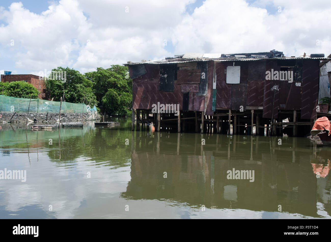 RECIFE, PE - 20.10.2015: FAVELA DO NO BUEIRO RECIFE - Casa tipo palafita ningún río Capibaribe, Favela do Bueiro, no Recife (PE). (Foto: Diego Herculano / Fotoarena) Foto de stock