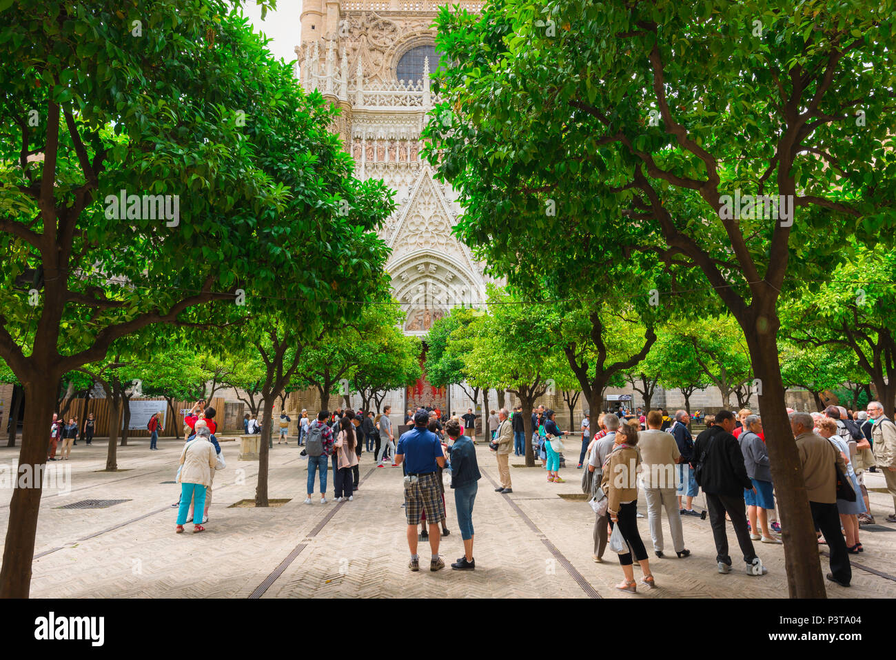 Patio de los Naranjos de Sevilla La Catedral de Sevilla, los visitantes al stand bajo los árboles de naranja en el Patio de los Naranjos, Sevilla, Andalucía, España. Foto de stock