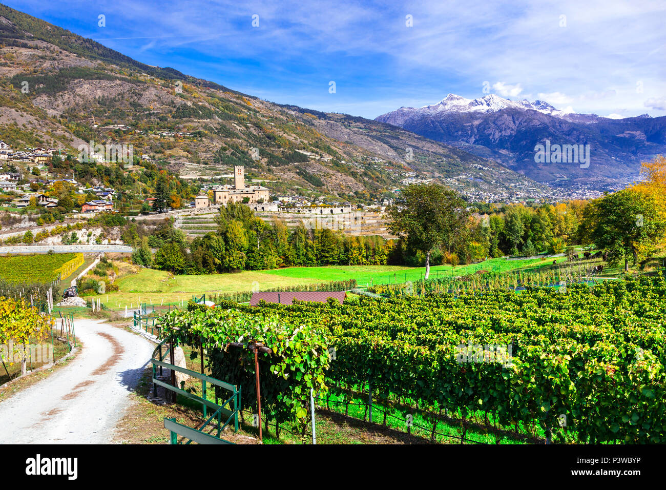 Impresionante castillo de Sarre,ver con los viñedos y las Montañas, Valle de Aosta, Italia. Foto de stock