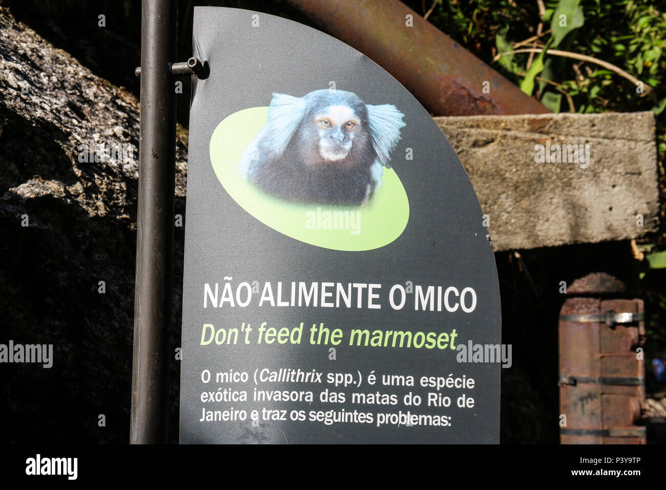 La plaza com advertências de preservação do Meio Ambiente, em el parque do Rio de Janeiro. Foto de stock