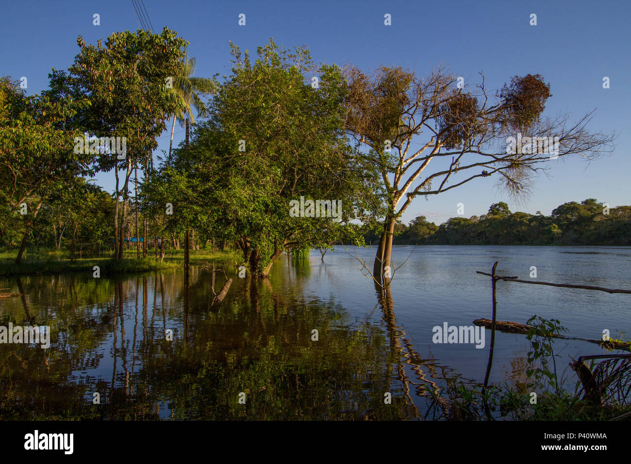 Canal do rio japura fotografías e imágenes de alta resolución Alamy