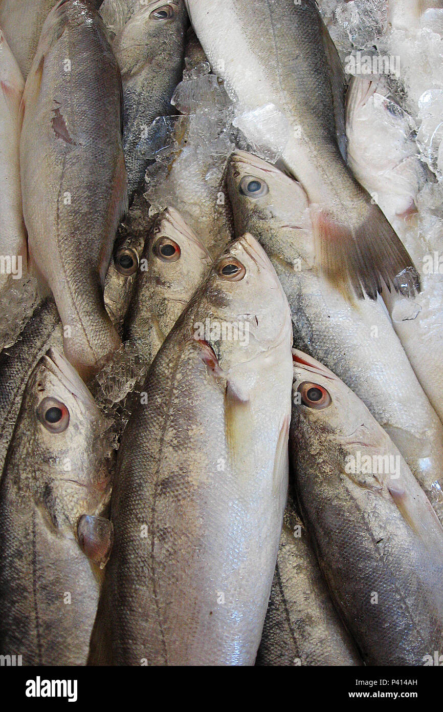 Pescada branca fotografías e imágenes de alta resolución - Alamy