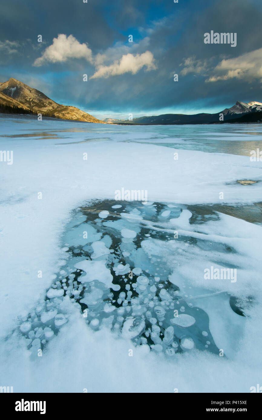 Burbujas de metano helado en invierno, Abraham, el lago, las Montañas Rocosas canadienses, Alberta, Canadá Foto de stock