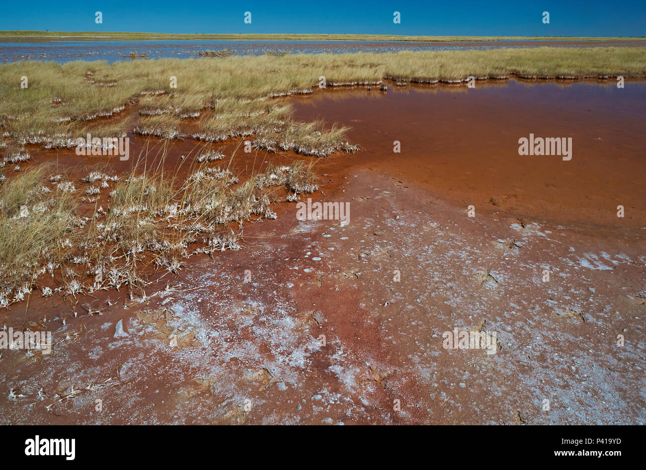 Salinas con agua, el Makgadikgadi Pan, Botswana Foto de stock