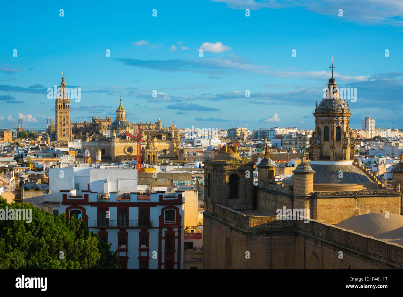 Sevilla el horizonte, vistas al casco antiguo de Sevilla al atardecer hacia la Catedral y La Giralda campanario, Andalucia, España. Foto de stock
