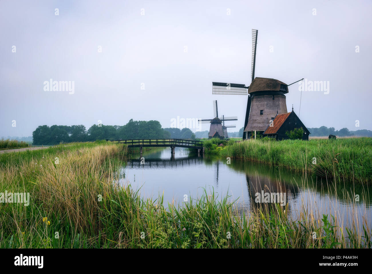 Antiguo molino de viento holandés en la fría mañana paisaje cerca de Amsterdam Foto de stock
