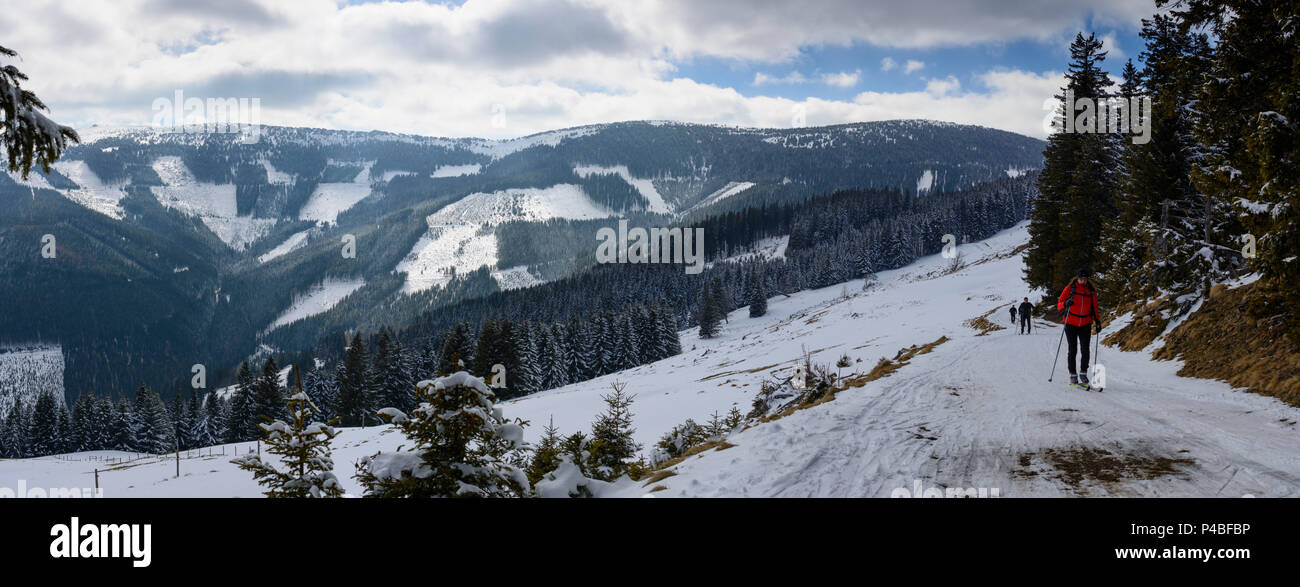 Aspangberg-St. Pedro, montaña gama Wechsel, esquiadores de fondo, Wiener Alpen (Alpes) de Viena, Baja Austria, Austria Foto de stock