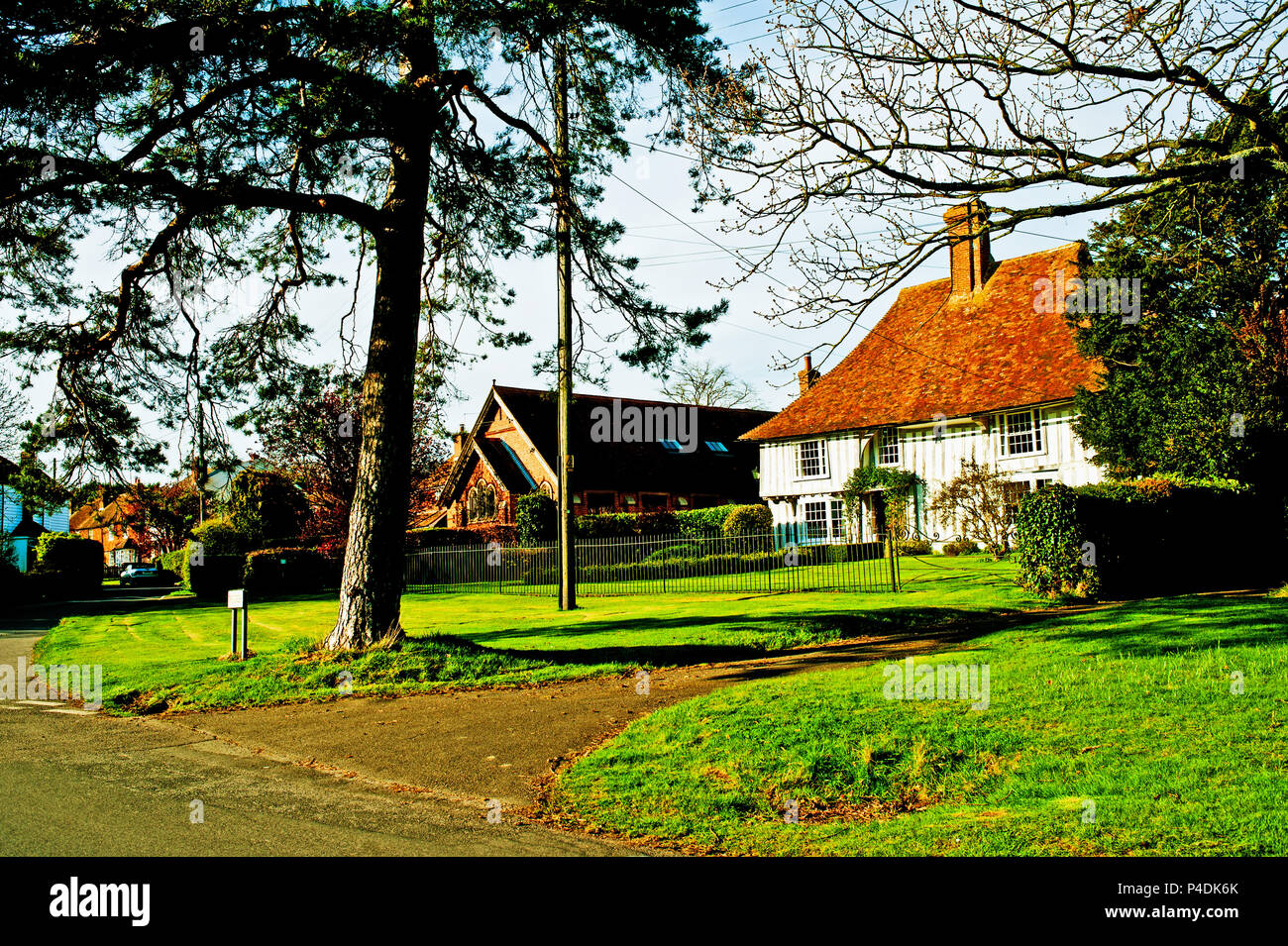 El verde Shadoxhurst, Kent, Inglaterra Foto de stock