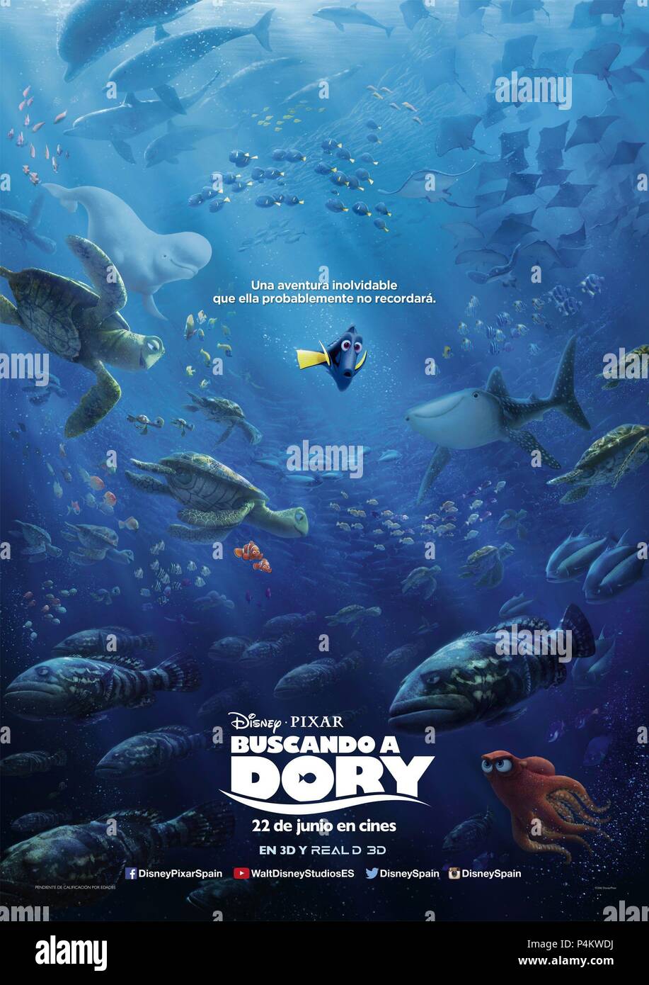 El Titulo Original De La Pelicula Busqueda De Dory Titulo En Ingles Busqueda De Dory El Director De Cine Andrew Stanton Angus Maclane Ano 16 Credito Pixar Animation Studios Walt Disney El Titulo Original De La Pelicula Busqueda De Dory Titulo En Ingles Busqueda De Dory El Director De Cine Andrew Stanton Angus Maclane Ano 16 Credito Pixar Animation Studios Walt Disney