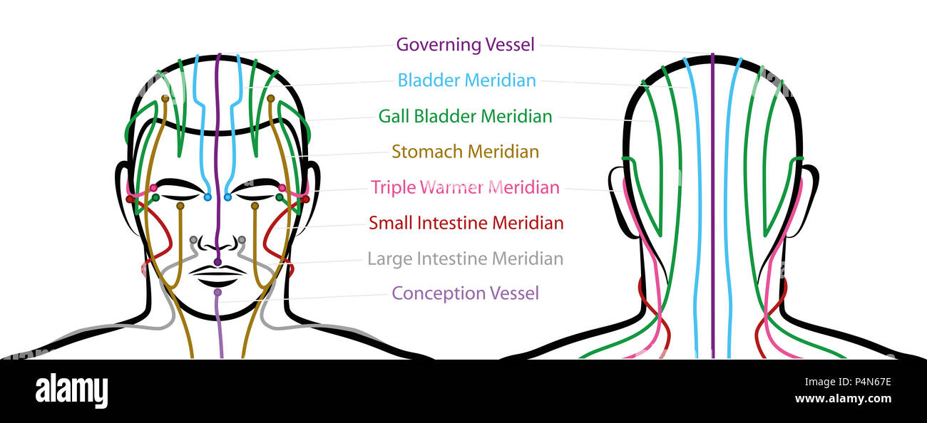 Los meridianos de la cabeza con los puntos de acupuntura Vista