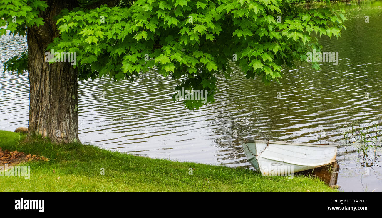 Fila blanco barco sobre la orilla del lago por el árbol Foto de stock
