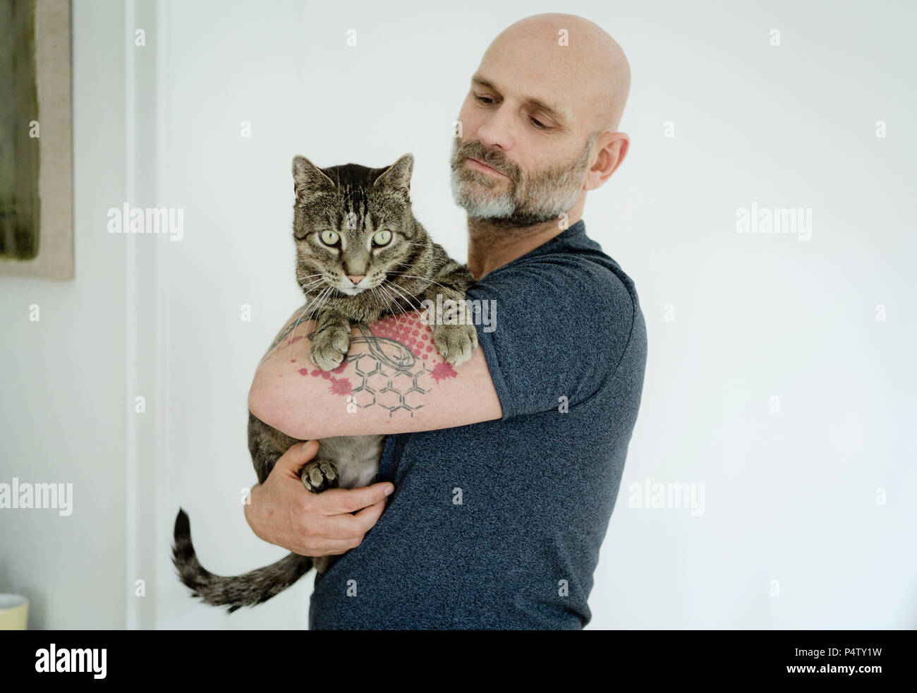El hombre lleva tatuado su gato Foto de stock