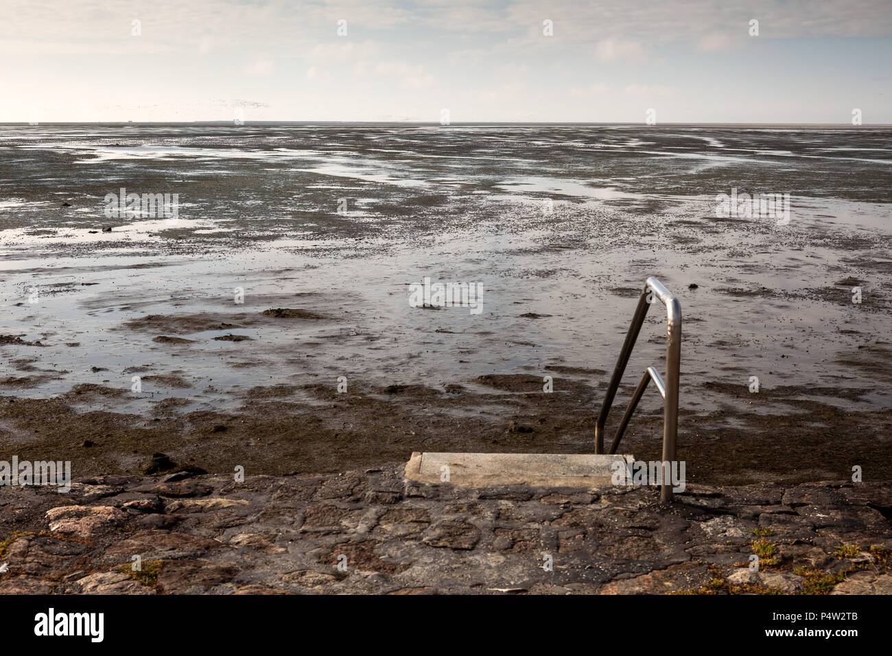 Hallig Hooge, Alemania, Watt con marea baja en el Mar del Norte Foto de stock